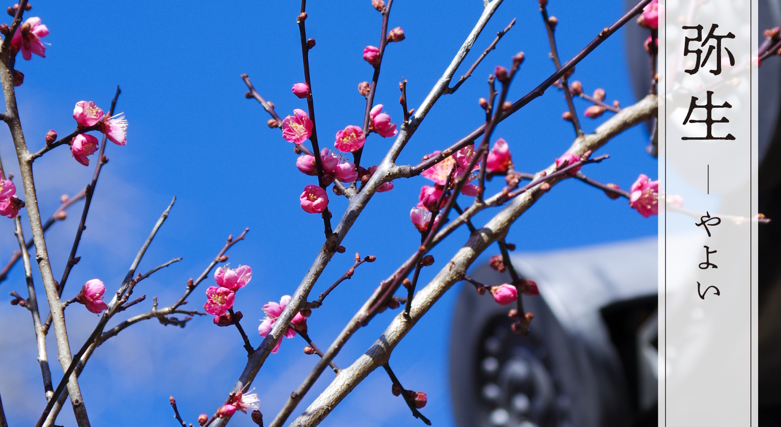 【名塩御坊教行寺】3月春のお彼岸イメージ画像